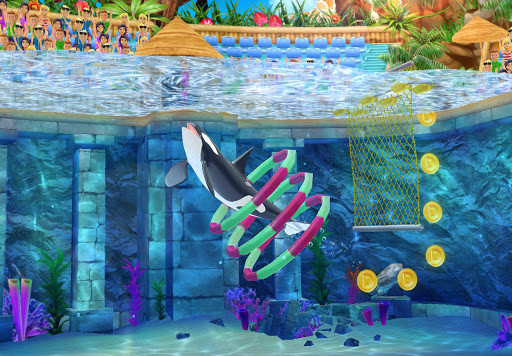 My Dolphin Show For Android Free Download