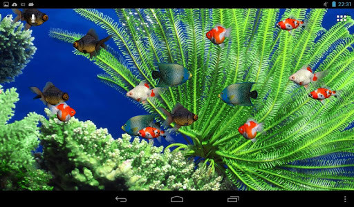 Live aquarium screensaver for Android - Free Download