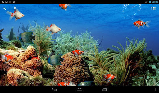 Live aquarium screensaver for Android - Free Download